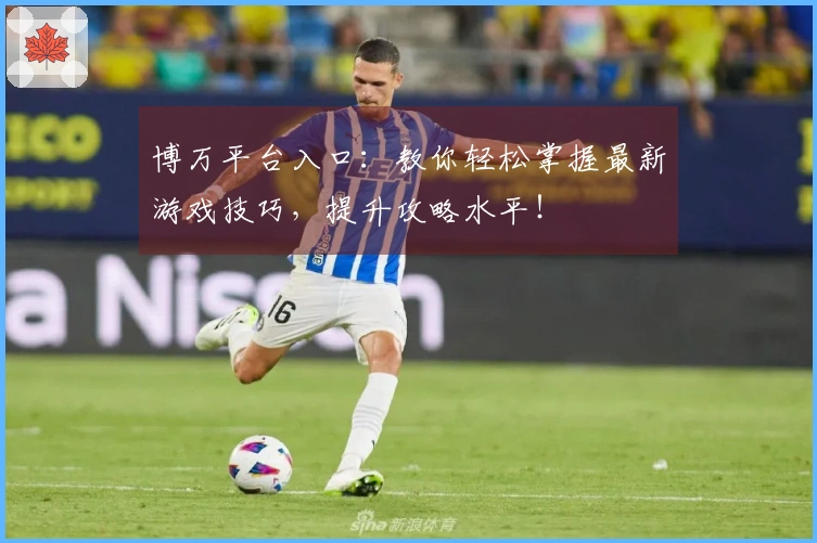 博万平台入口：教你轻松掌握最新游戏技巧，提升攻略水平！